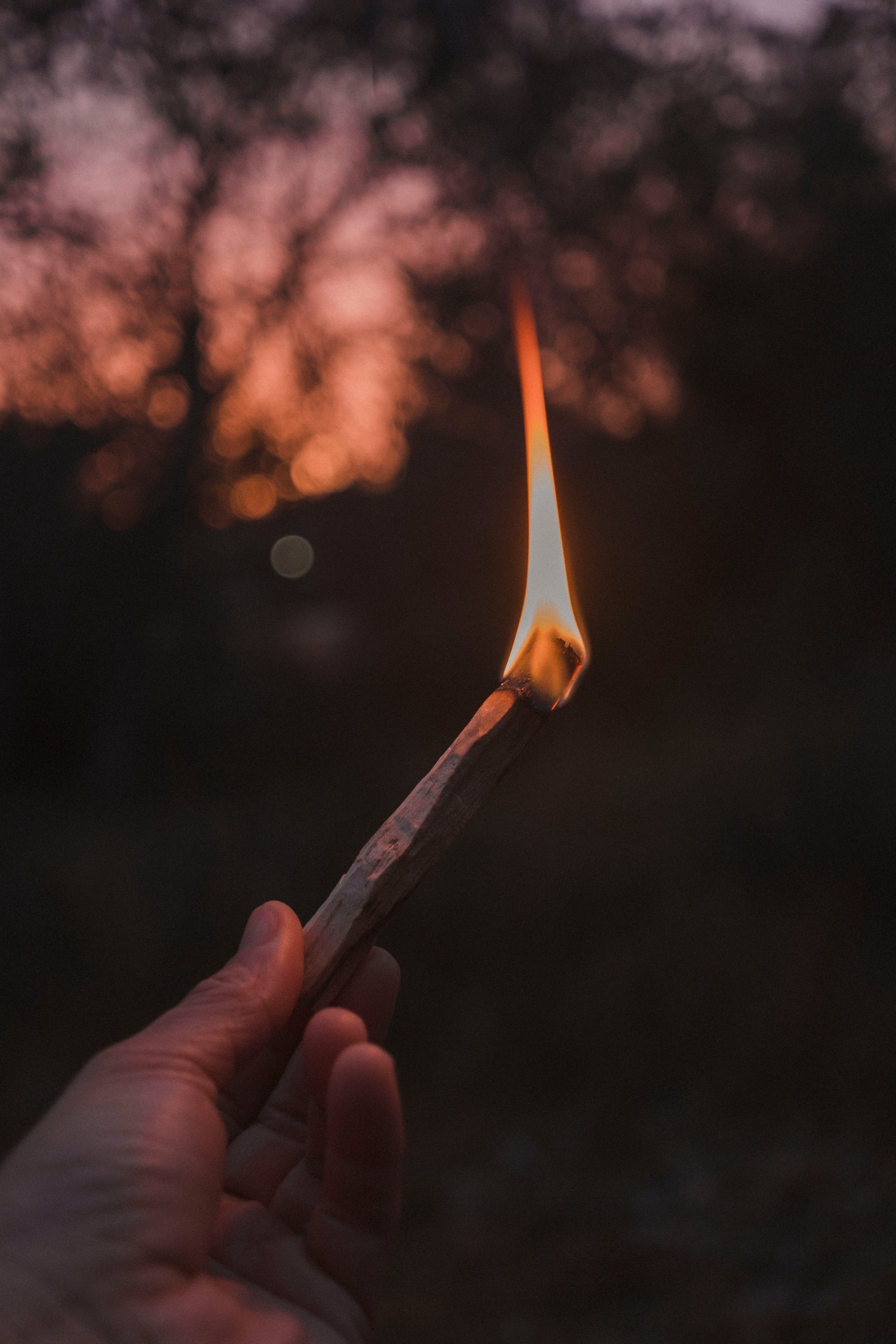 Palo Santo incense - Sticks bundle