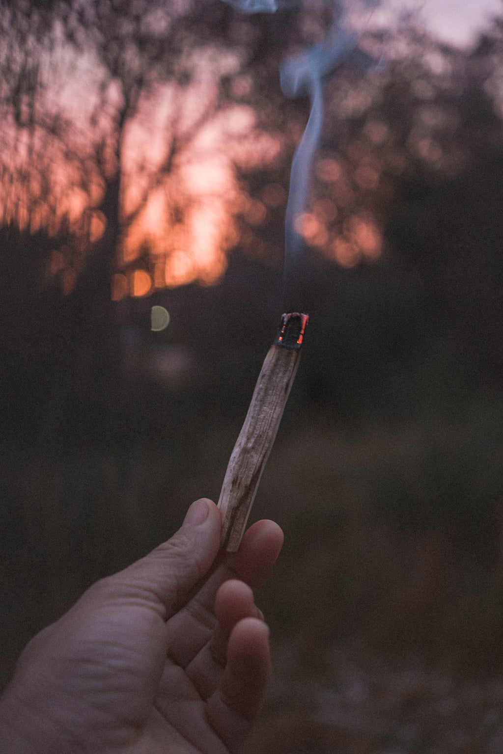 Palo Santo incense - Sticks bundle