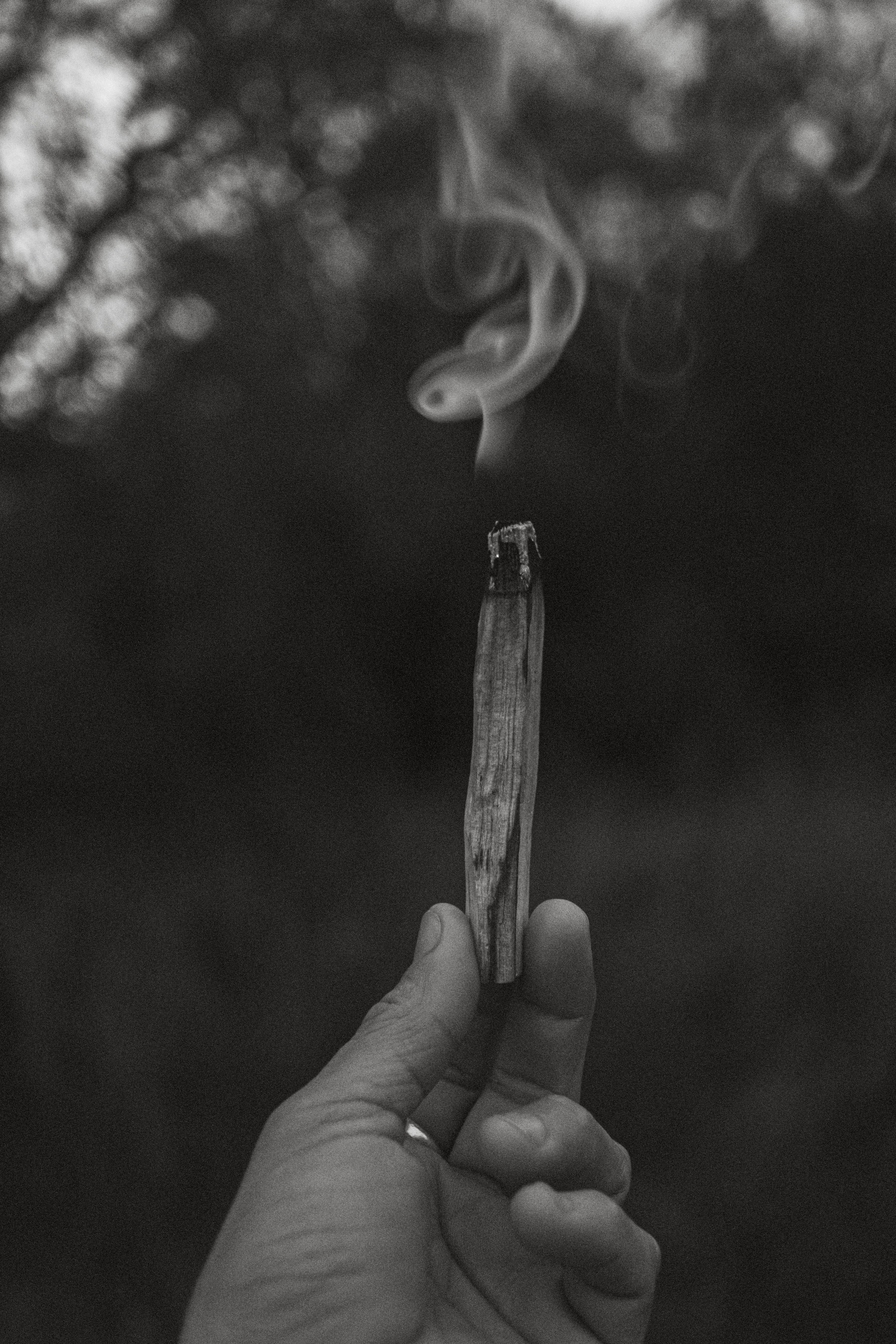 Palo Santo incense - Incense Kit